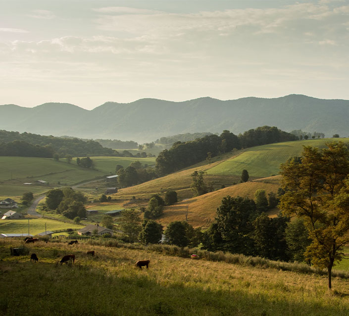 Ligne d’horizon de la campagne de Virginie du Nord