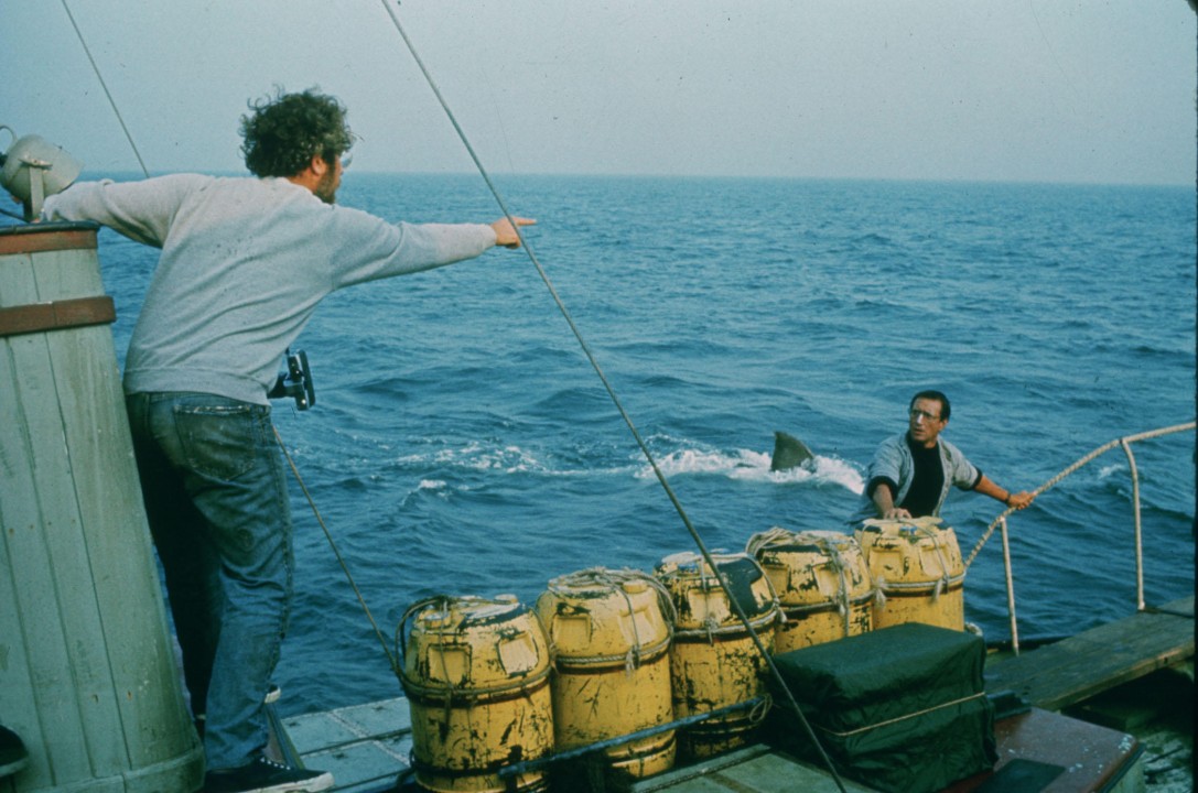Two people on a boat at sea, one pointing towards the water where a shark fin is visible. There is fishing gear and yellow containers around.